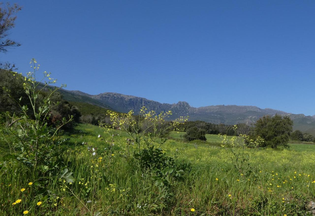 Hotel U Pozzu Sisco Εξωτερικό φωτογραφία