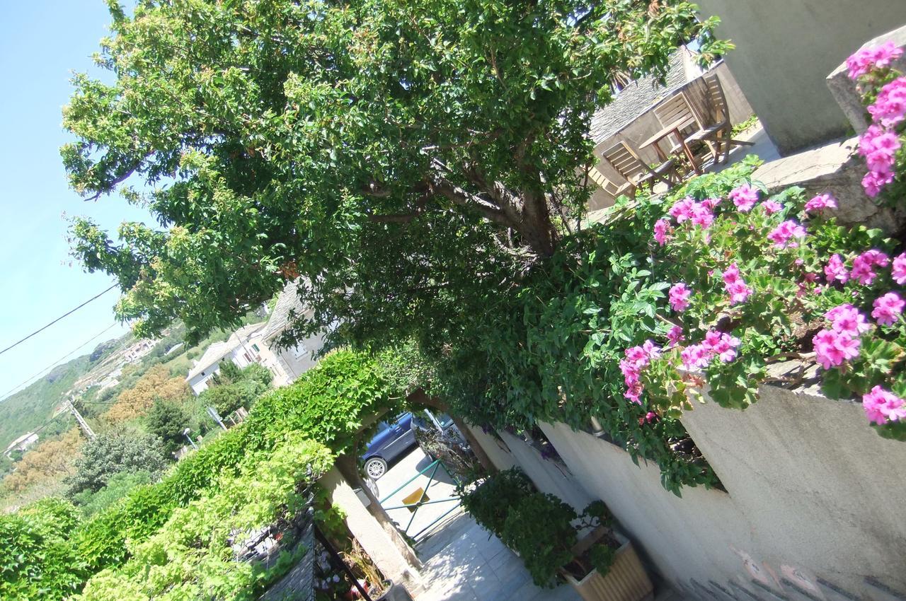 Hotel U Pozzu Sisco Εξωτερικό φωτογραφία