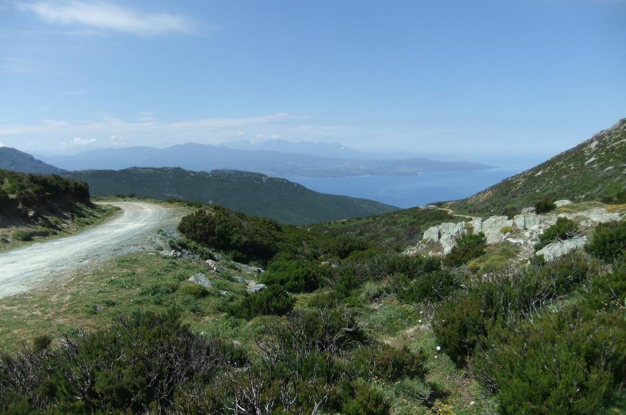 Hotel U Pozzu Sisco Εξωτερικό φωτογραφία