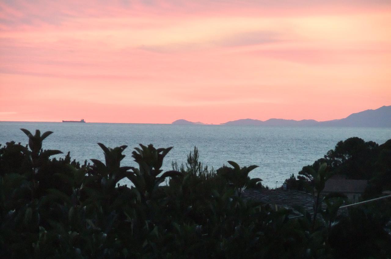 Hotel U Pozzu Sisco Εξωτερικό φωτογραφία